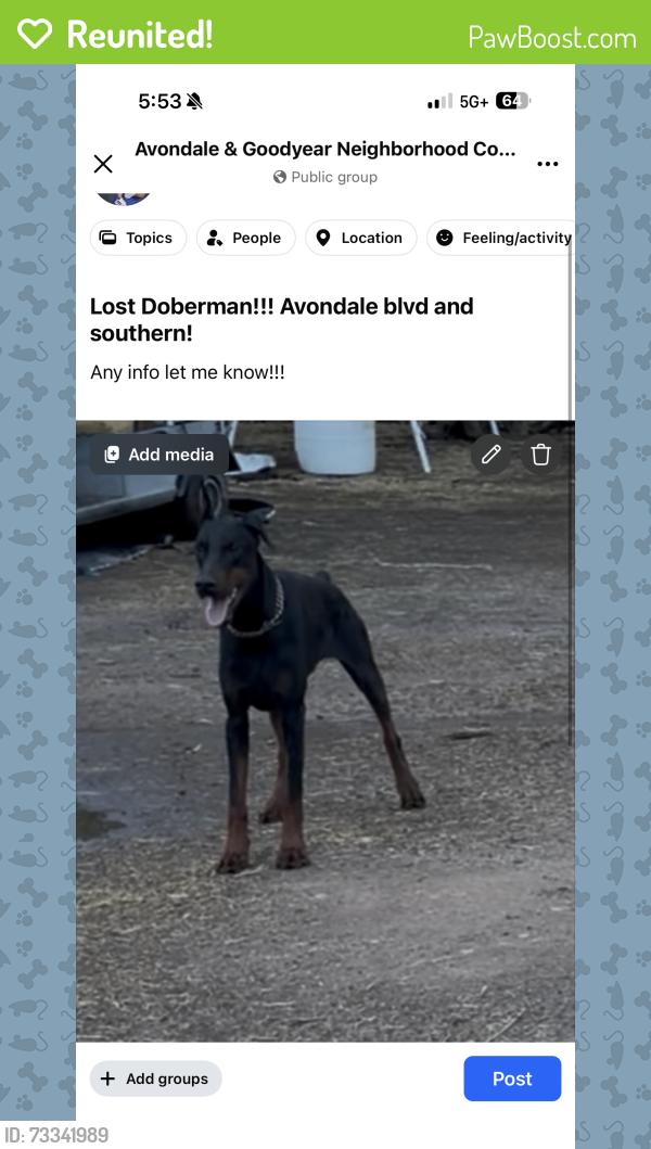 Reunited Male Dog last seen Near W Southern Ave Tolleson, AZ 85353 United States, Tolleson, AZ 85353