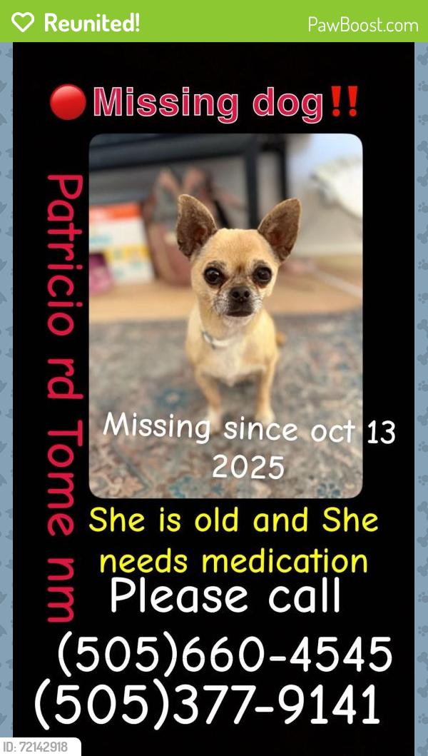 Reunited Female Dog last seen Patricio rd, Tome-Adelino, NM 87031