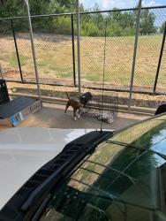 Shelter Stray Female Dog last seen Near Fulton industrial blvd, Atlanta, GA, 1251 Fulton Industrial Blvd NW, Atlanta, GA 30336, USA