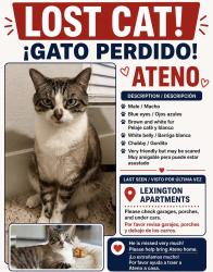 Lost Male Cat last seen Near Sawmill Rd, Spring, TX 77380, Spring, TX 77380