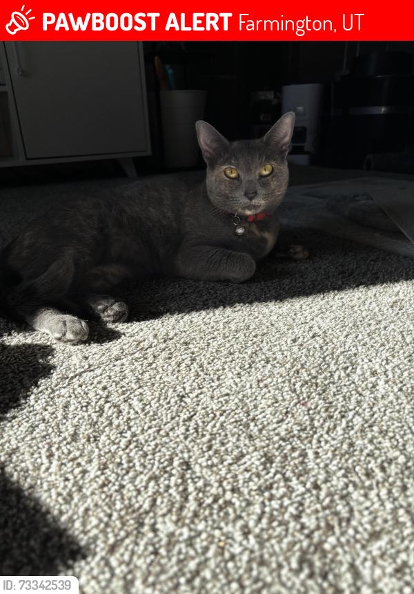 Lost Female Cat last seen Station Park, Farmington, UT 84025
