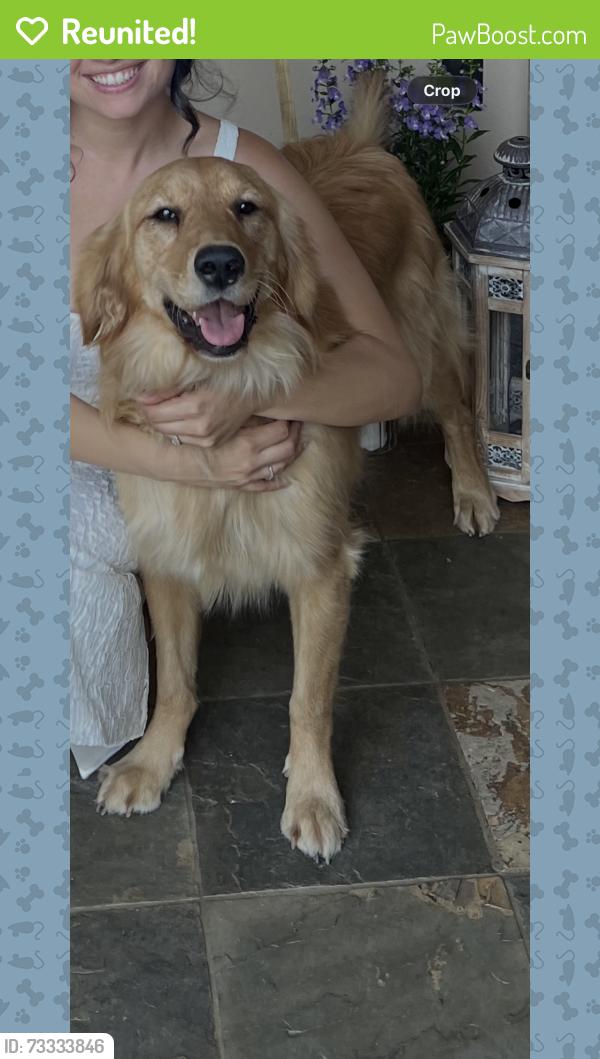 Reunited Female Dog last seen E. Olive Ave, Merced, CA 95340