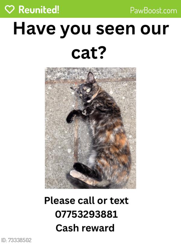 Reunited Female Cat last seen Myatts fields, Greater London, England 