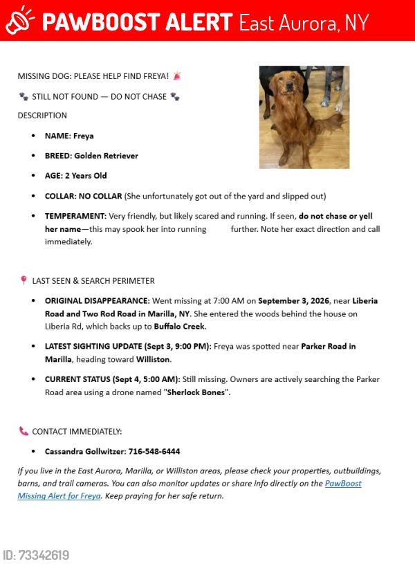 Lost Female Dog last seen Parker - Williston, East Aurora, NY 14052