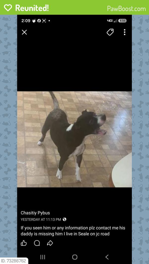 Reunited Male Dog last seen Ridge road .jc road .oswichee rd seale alabama, Russell County, AL 36875