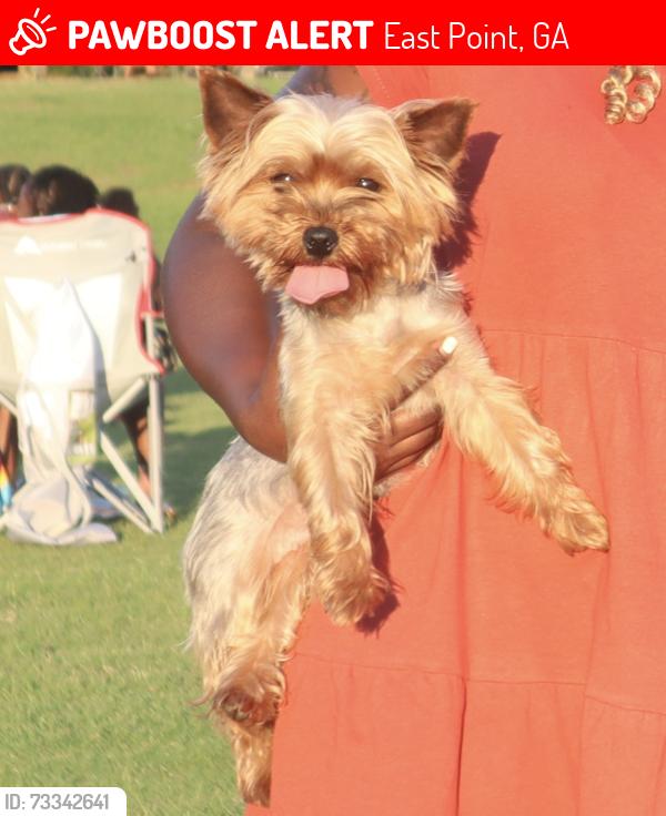 Lost Female Dog last seen Washington rd, East Point, GA 30344