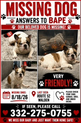 Lost Male Dog last seen Possible sighting Gladstone Ave, Walden, NY 12586