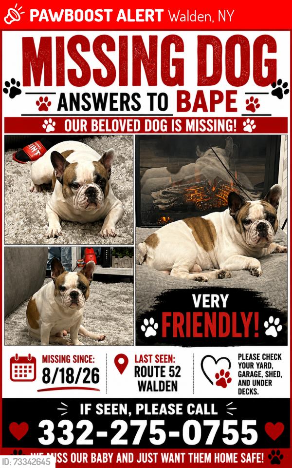 Lost Male Dog last seen Possible sighting Gladstone Ave, Walden, NY 12586