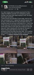 Found/Stray Male Dog last seen Sydney eye hosp, Sydney, NSW 2000