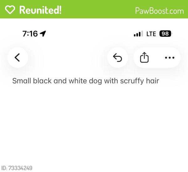 Reunited Unknown Dog last seen Prospect and Grace street, Newmarket, ON L3Y 2P9
