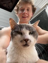 Lost Male Cat last seen Back porch, Cincinnati, OH 45255