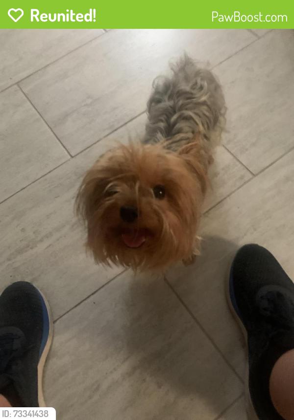 Reunited Female Dog last seen Old Dixie highway and Mako Drive, Hudson, FL 34667