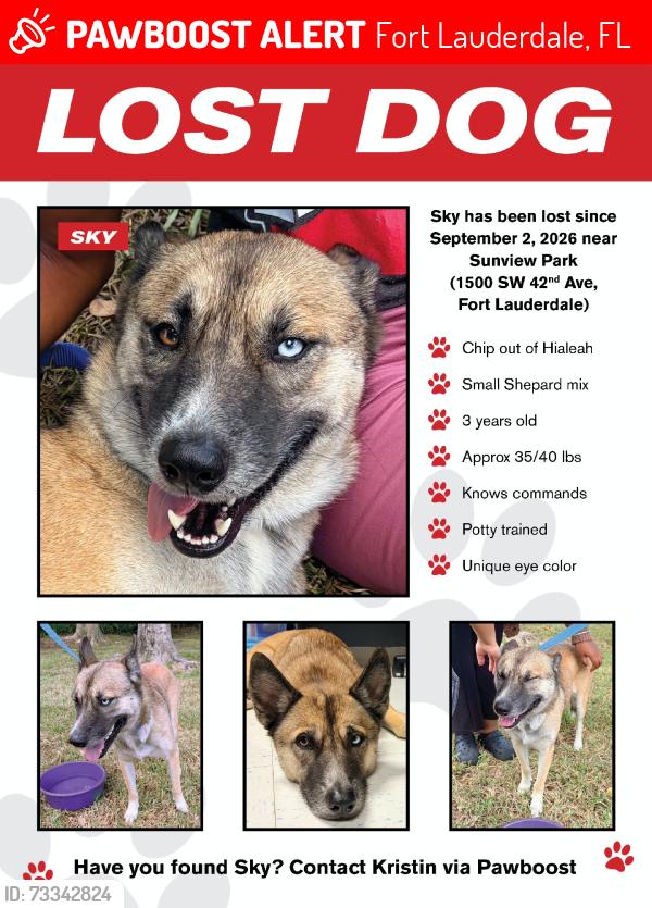Lost Female Dog last seen Davie Boulevard and 441, Fort Lauderdale, FL 33317