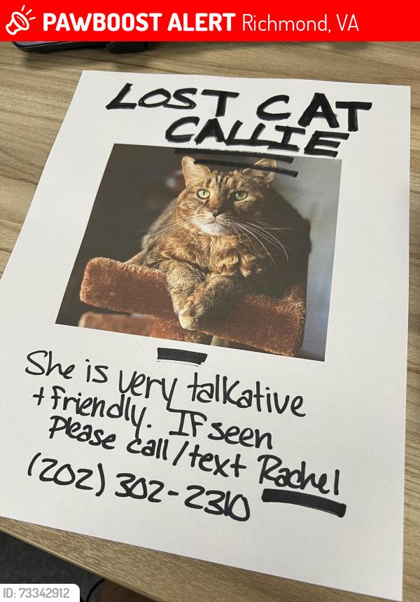 Lost Female Cat last seen Brooke Road and Parham near the Walmart, closer to Lakeside Blvd, Richmond, VA 23227