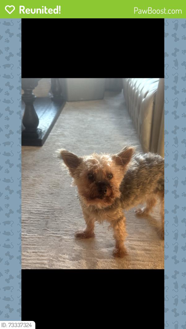 Reunited Male Dog last seen Near e 59th Pl, Tulsa, OK 74145