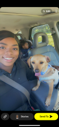 Lost Male Dog last seen Firethorn & Kingston, Middle River, MD 21220