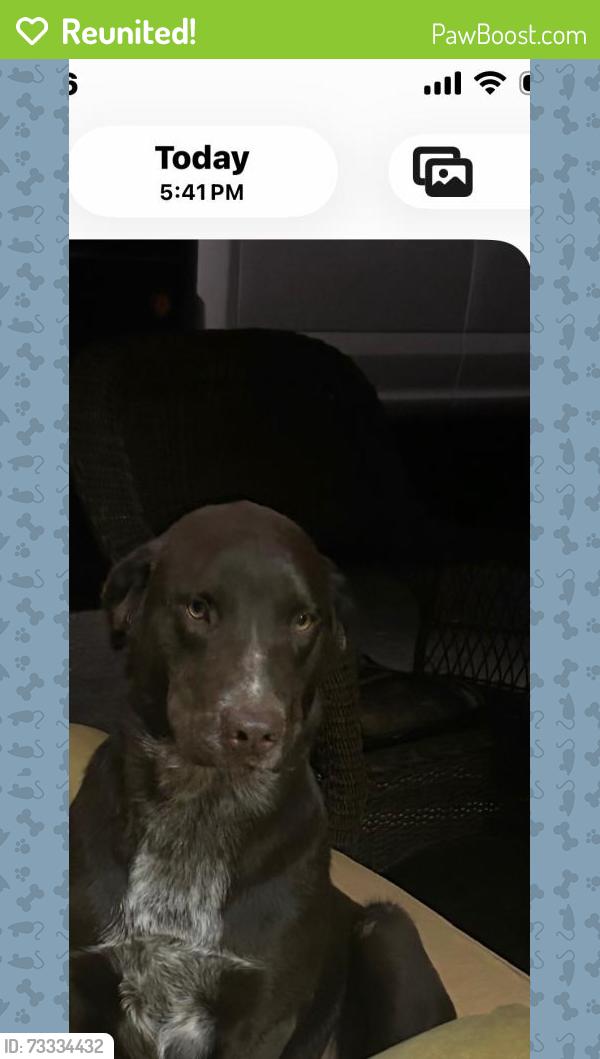 Reunited Male Dog last seen Kidd Road & River plantation, Conroe, TX 77302