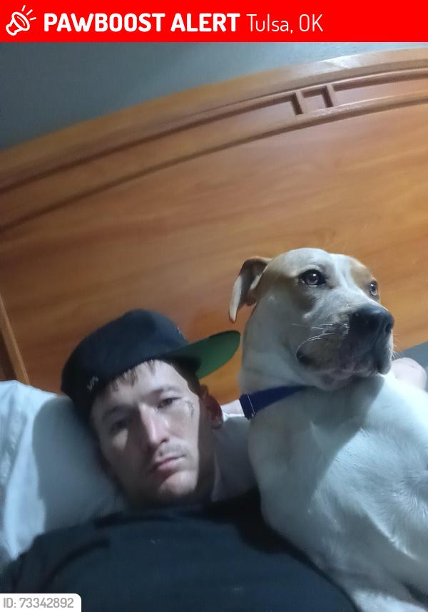 Lost Male Dog last seen Near South Gilcrease Museum Road, Tulsa, OK 74127