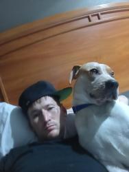 Lost Male Dog last seen Near South Gilcrease Museum Road, Tulsa, OK 74127