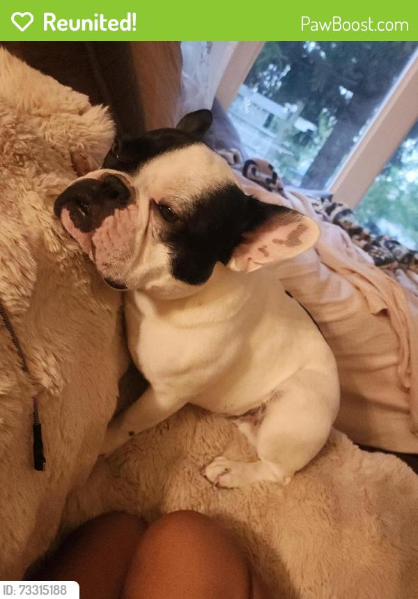 Reunited Male Dog last seen Pintail drive and Blue Heron Ct, Cedar Rapids, IA 52402