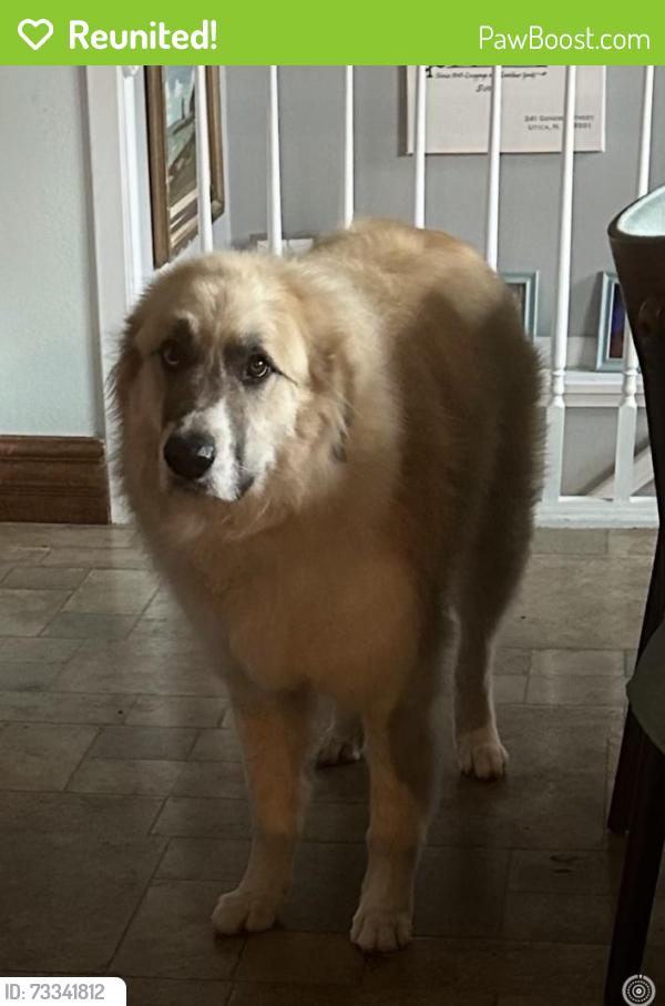 Reunited Female Dog last seen 20th St NW , 12th Ave, East Grand Forks, MN 56721