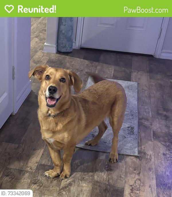 Reunited Male Dog last seen Sulphur springs and between beck rd and foster rd, San Antonio, TX 78222