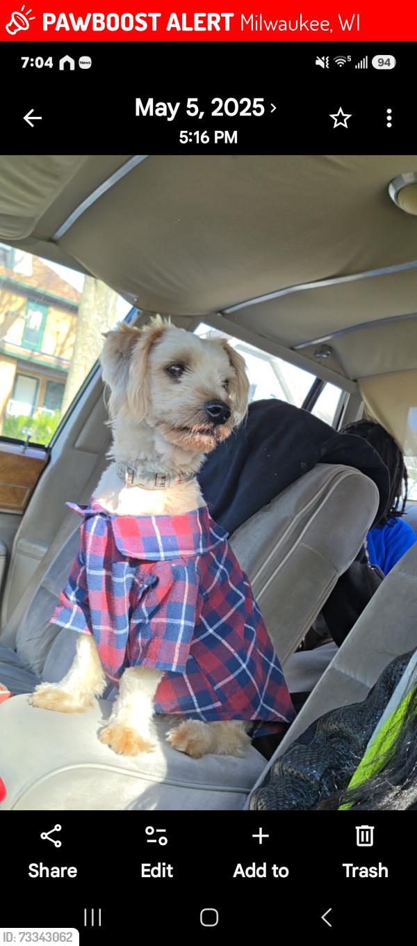 Lost Male Dog last seen Sheridan, fondulac, hampton, silverspring, Milwaukee, WI 53218