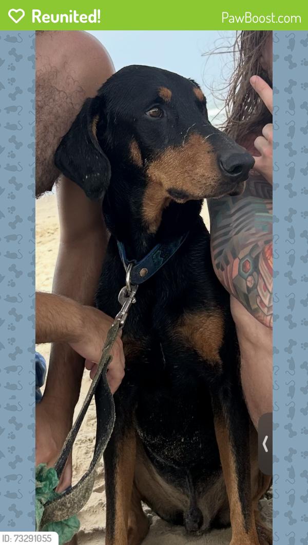 Reunited Male Dog last seen The Riverwalk, San Antonio, TX 78205