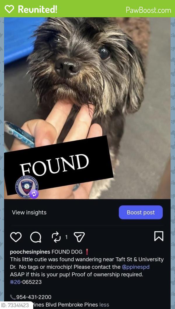 Reunited Unknown Dog last seen Taft St, Pembroke Pines, FL, USA, Pembroke Pines, FL 33026