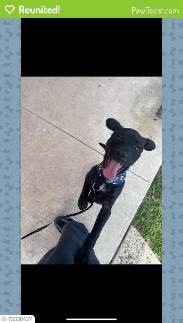 Reunited Male Dog last seen Commercial Ave and Kendelia St, San Antonio, TX 78221