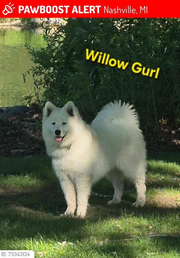 Lost Female Dog last seen Gregg and Edna, Nashville, MI 49073