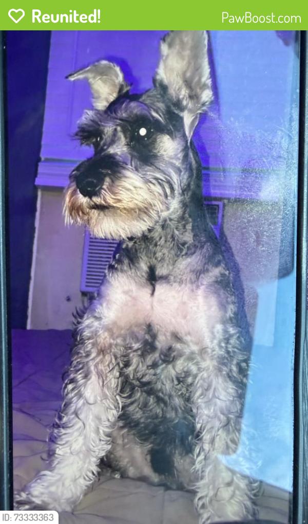Reunited Male Dog last seen Enero Dr and Pescador, El Paso, TX 79935