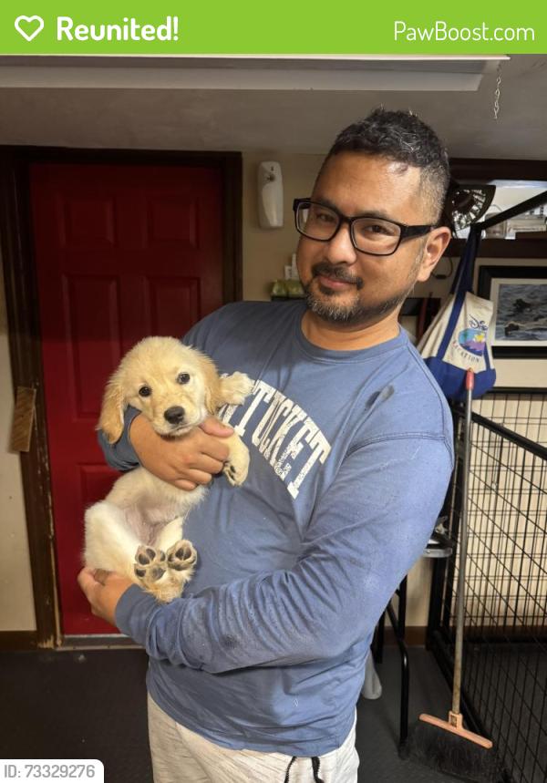 Reunited Female Dog last seen Poncin-Hewitt Fields, Attleboro, MA 02703