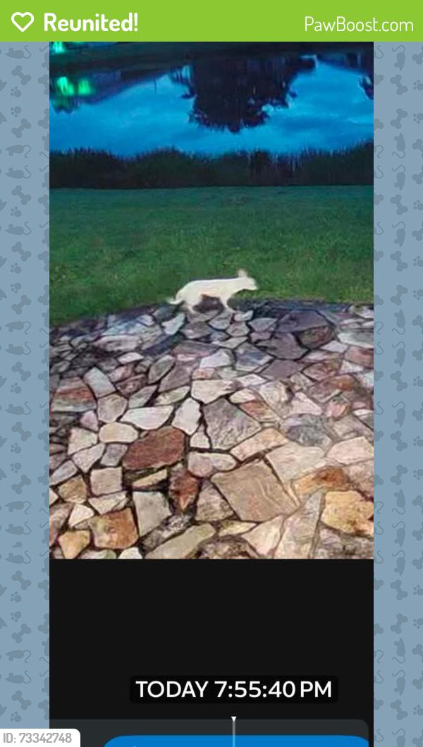 Reunited Unknown Dog last seen Palm Grove, Fort Pierce, FL 34950