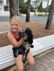 Lost Male Dog last seen Marble Hill, Friendsville, TN 37737