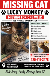 Lost Male Cat last seen Near 16th Ave South, Des Moines, WA 98198, Des Moines, WA 98198