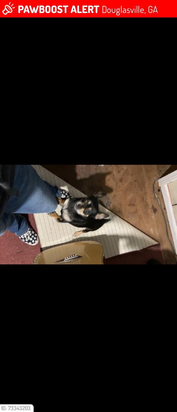 Lost Female Dog last seen Chapel Hill, Douglasville, GA 30135