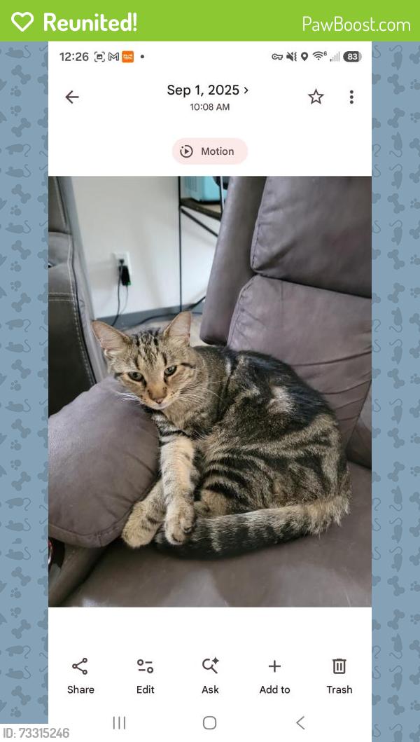 Reunited Male Cat last seen Cobblestone Loop. South of 19th st. East of hwy 6. Across from USDA pasture. West of FT. Lincoln School., Mandan, ND 58554