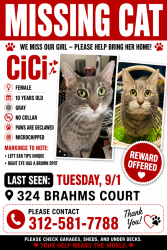 Lost Female Cat last seen Near Brahms Court, Wheaton, IL 60189, Wheaton, IL 60189