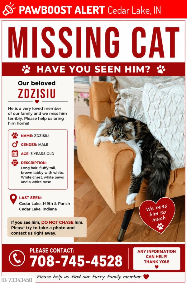 Lost Male Cat last seen Near & Parrish, Cedar Lake, IN 46303