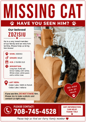 Lost Male Cat last seen Near & Parrish, Cedar Lake, IN 46303