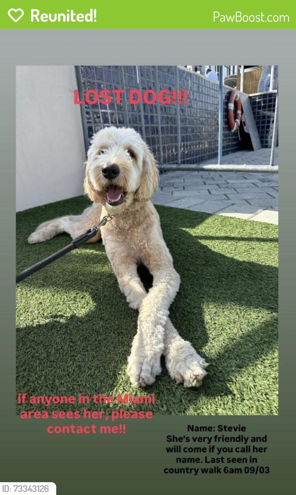 Reunited Female Dog last seen Sw 157th Avenue and SW 152nd Street, Country Walk, FL 33196