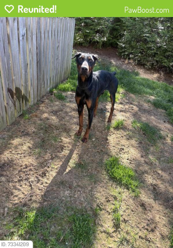 Reunited Male Dog last seen Near Stone Rdg Pk Ter, Henrico, VA 23228, USA, Henrico, VA 23228