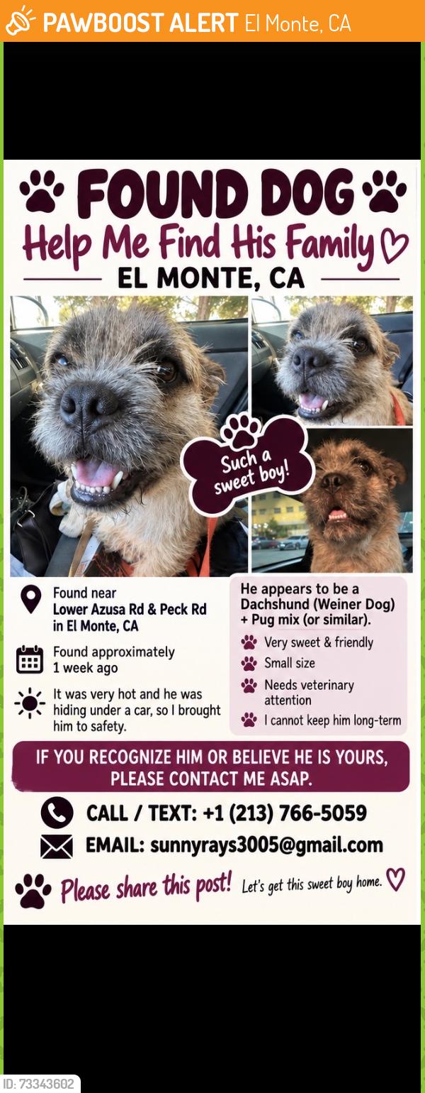 Found/Stray Male Dog last seen Lower Azuza and Peck, El Monte, CA 91731