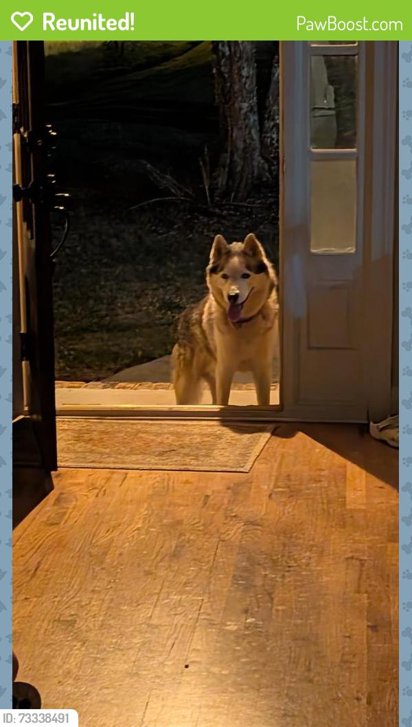 Reunited Male Dog last seen Sharon Church Road and Mary's Path, Loganville, GA 30052
