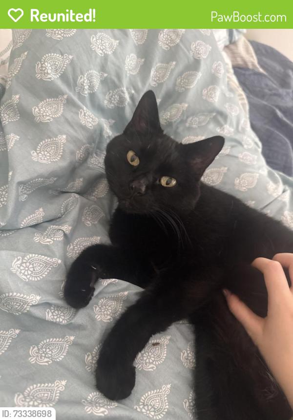Reunited Female Cat last seen 7th street E, Saskatoon, SK S7H 2G3