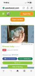 Found/Stray Unknown Bird last seen Near Del Webb Lane Sandia Amenity Center, Albuquerque, NM 87120