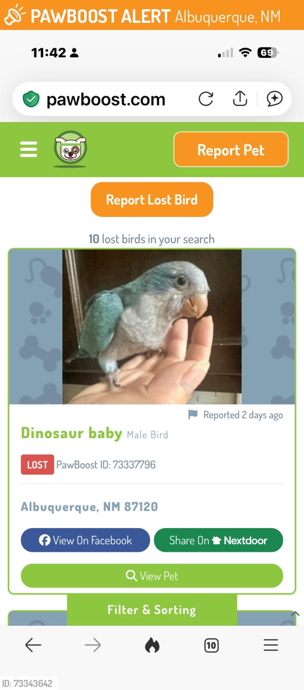 Found/Stray Unknown Bird last seen Near Del Webb Lane Sandia Amenity Center, Albuquerque, NM 87120