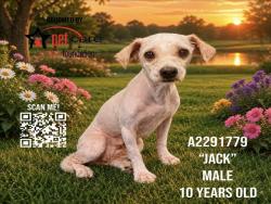 Shelter Stray Male Dog last seen , 3201 Lacy St, Los Angeles, CA 90031, USA