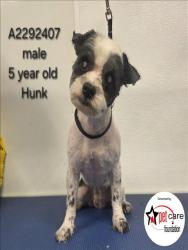 Shelter Stray Male Dog last seen , 3201 Lacy St, Los Angeles, CA 90031, USA